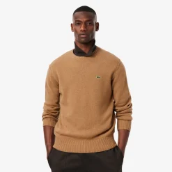 Lacoste Carded Wool Crew Neck Sweater Brown