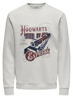 Onsxmas Crew Lunar Rock