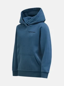 Peak Performance Original Small Logo Hood Junior Mountain Lake